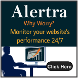 website monitoring